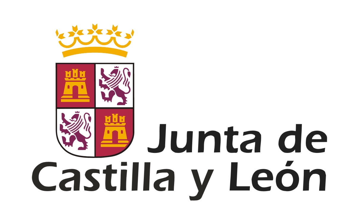 Junta de Castilla y León